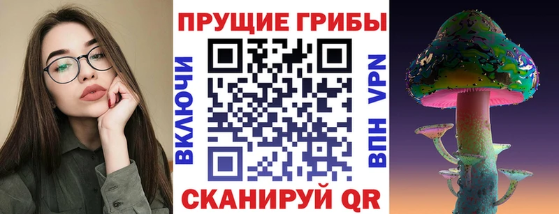 Псилоцибиновые грибы GOLDEN TEACHER  купить  сайты  Черноголовка 